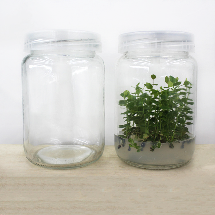 240ml 350ml 650ml clear plant tissue culture glass jar with plastic cap