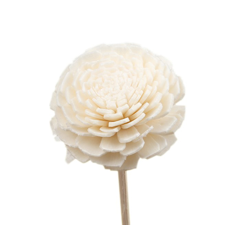 Popular handmade dried flower/Chrysanthemum design nature sola flower