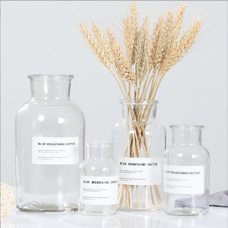 Custom logo beautiful transparent glass reagent bottle dried flower glass bottle supplier for home decoration tabletop vase
