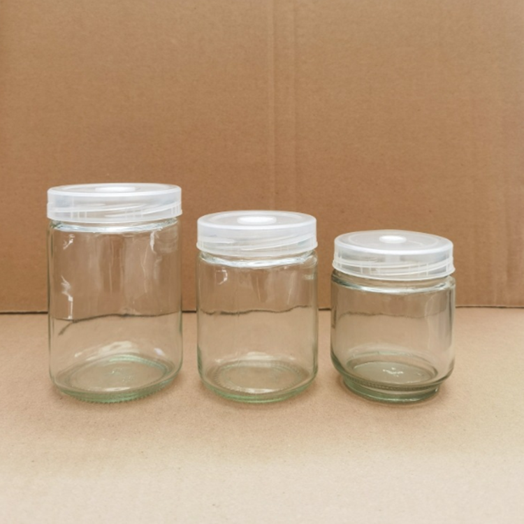 Wholesale 195ml 240ml 350ml 650ml glass plant tissue culture bottle with pet cover