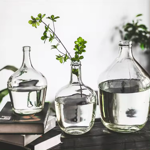 Wholesale Clear Round Big Glass Vase For Decoration For Plants