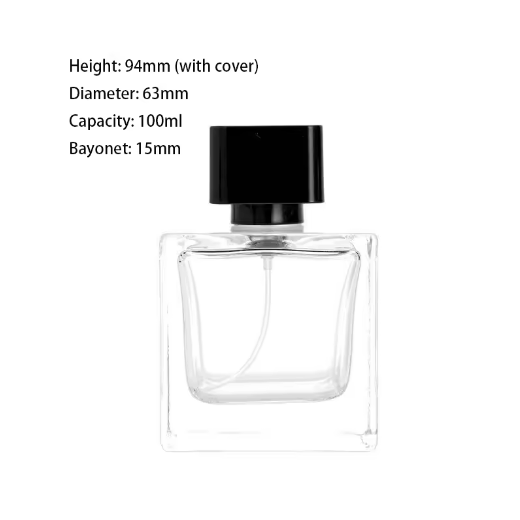 Fashion Luxury Design 30 ml 50 ml 100 ml Empty Square Glass Small Perfume Bottle With lid