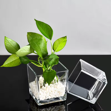 Simple crystal square shape glass vase candle jar decorated hydroponic plant bottle Transparent flower pot wholesale