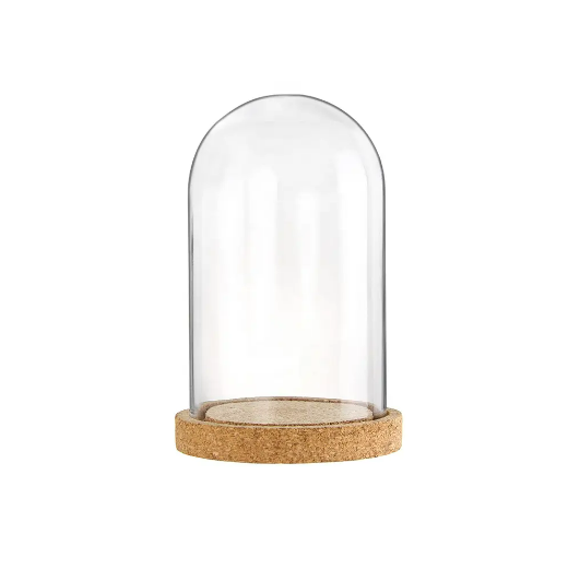 Custom Clear Antique Round Cylinder Flower Glass Dome Cover With Cork Wooden Base for Decoration&Candle