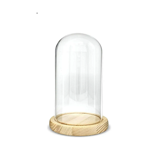 Wholesale Lamp cover Crafts Candle Bell Jar Glass Dome Cap With cork wooden base For Decoration&storage